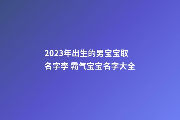 2023年出生的男宝宝取名字李 霸气宝宝名字大全